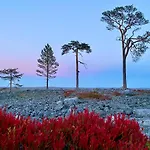 Arctic Lapland In Studio, Slopes, Tracks, National Park, Free Wi-fi - Lapland * Pyhätunturi
