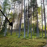 Arctic Lapland In Studio, Slopes, Tracks, National Park, Free Wi-fi - Lapland