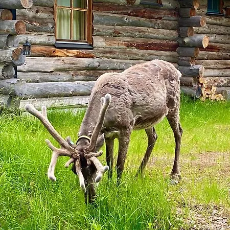 Huoneisto Arctic Lodges by Lapland Villas, Pyhä - Lapland, Ski In