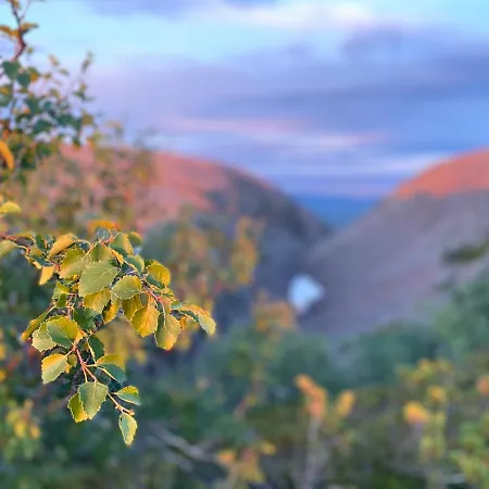 Apartamento Arctic Lapland In Studio, Slopes, Tracks, National Park, Free Wi-fi - Lapland *