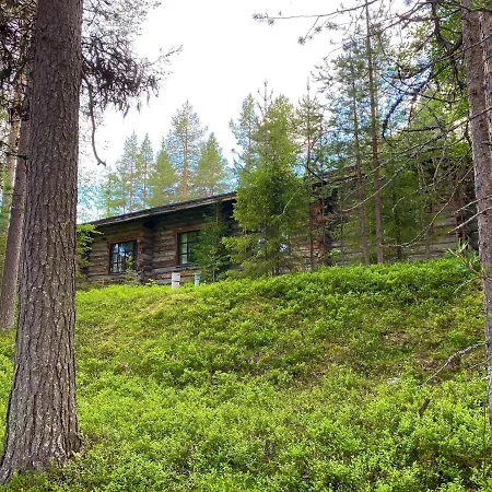 Arctic Lapland In Studio, Slopes, Tracks, National Park, Free Wi-fi - Lapland *