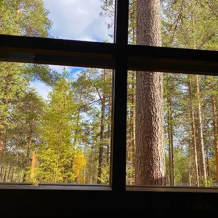 Arctic Lapland In Studio, Slopes, Tracks, National Park, Free Wi-fi - Lapland Pyhätunturi