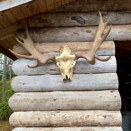 Arctic Lapland In Studio, Slopes, Tracks, National Park, Free Wi-fi - Lapland Apartmán