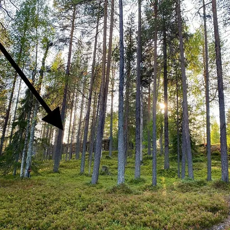 Arctic Lapland In Studio, Slopes, Tracks, National Park, Free Wi-fi - Lapland