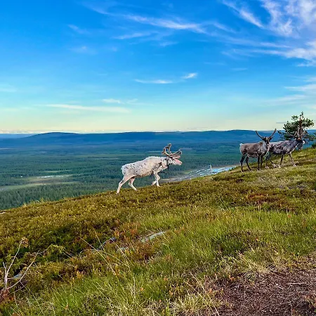 Arctic Lodges by Lapland Villas, Pyhä - Lapland, Ski In Huoneisto *