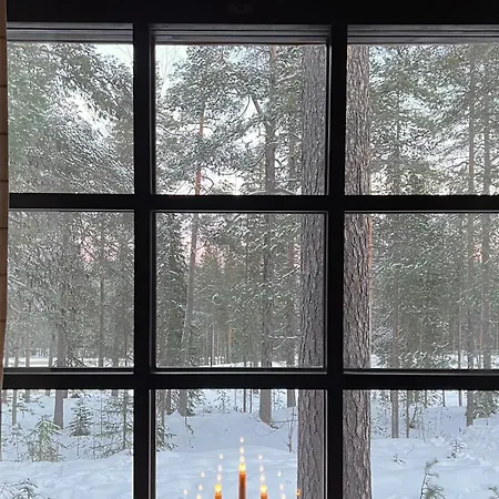 Arctic Lapland In Studio, Slopes, Tracks, National Park, Free Wi-fi - Lapland