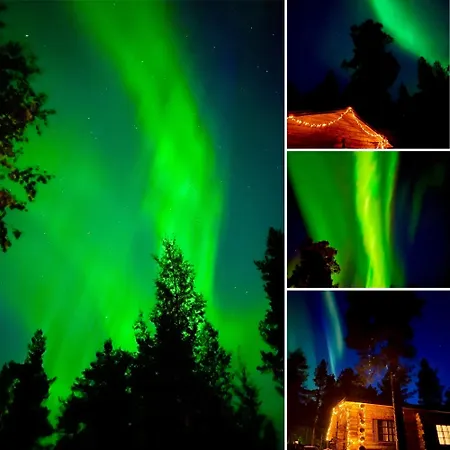 Arctic Lapland In Studio, Slopes, Tracks, National Park, Free Wi-fi - Lapland Apartamento