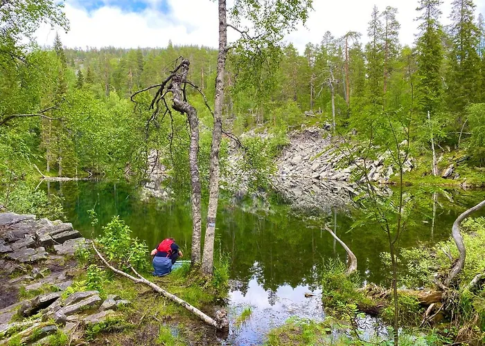 아파트 Arctic Lapland In Studio, Slopes, Tracks, National Park, Free Wi-fi - Lapland *