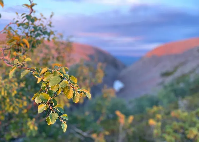 아파트 Arctic Lapland In Studio, Slopes, Tracks, National Park, Free Wi-fi - Lapland *