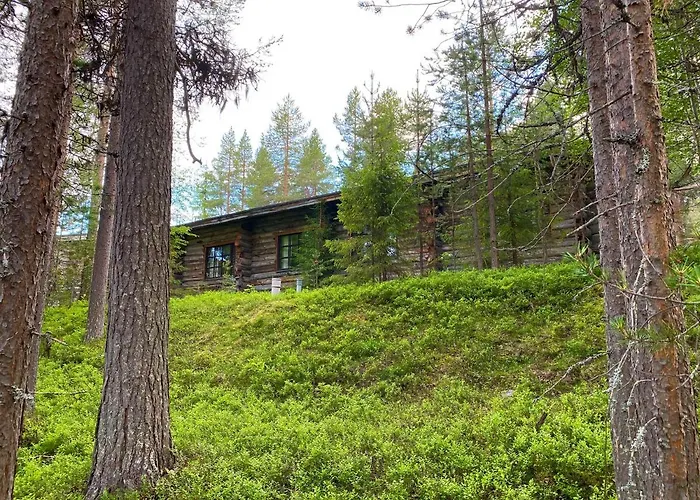 Arctic Lapland In Studio, Slopes, Tracks, National Park, Free Wi-fi - Lapland *