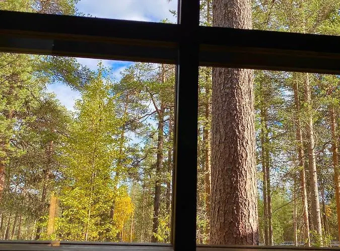 Arctic Lapland In Studio, Slopes, Tracks, National Park, Free Wi-fi - Lapland 파이하튠튜리