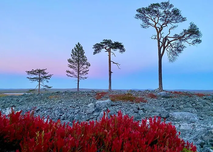 Arctic Lapland In Studio, Slopes, Tracks, National Park, Free Wi-fi - Lapland * 파이하튠튜리