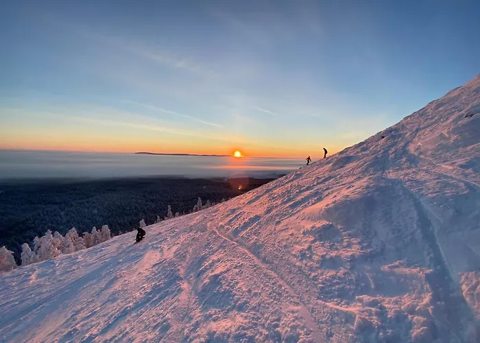 Arctic Lapland In Studio, Slopes, Tracks, National Park, Free Wi-fi - Lapland * 파이하튠튜리