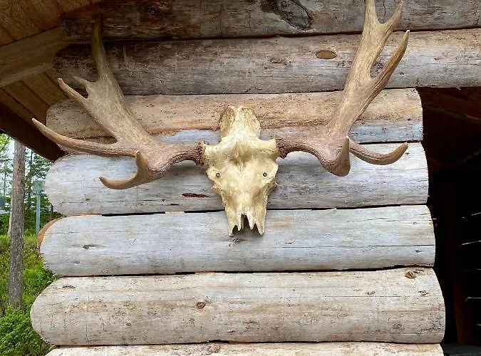 Arctic Lapland In Studio, Slopes, Tracks, National Park, Free Wi-fi - Lapland Apartment