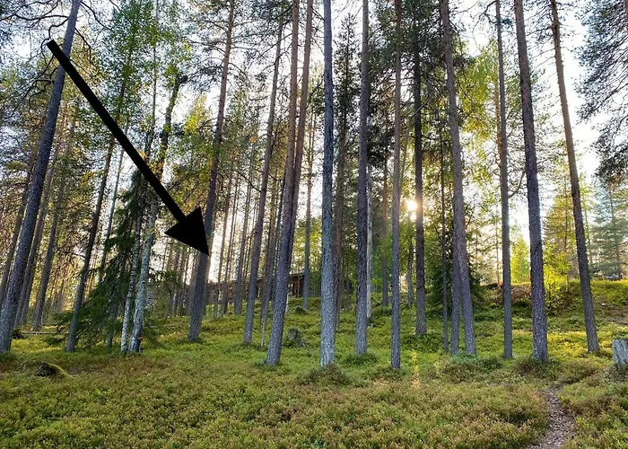 Arctic Lapland In Studio, Slopes, Tracks, National Park, Free Wi-fi - Lapland