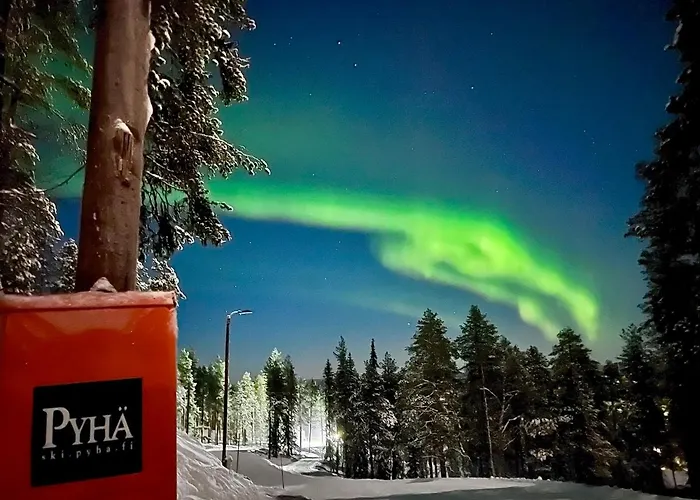 Arctic Lapland In Studio, Slopes, Tracks, National Park, Free Wi-fi - Lapland