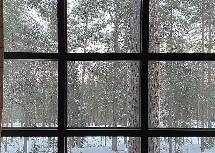 Arctic Lapland In Studio, Slopes, Tracks, National Park, Free Wi-fi - Lapland