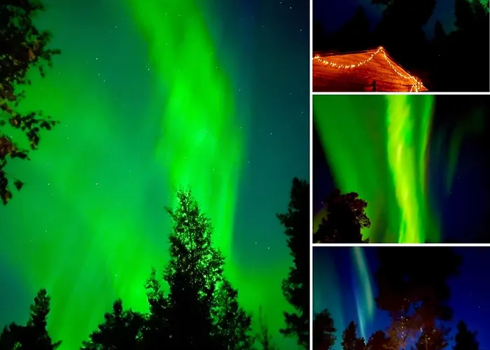 Arctic Lapland In Studio, Slopes, Tracks, National Park, Free Wi-fi - Lapland 아파트