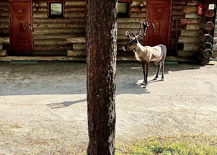 아파트 Arctic Lapland In Studio, Slopes, Tracks, National Park, Free Wi-fi - Lapland *